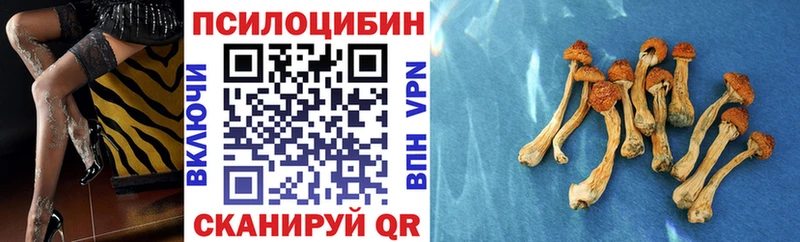 Псилоцибиновые грибы мухоморы сайты даркнета наркотические препараты Завитинск